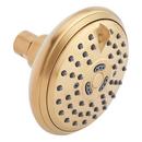 Signature Hardware Brushed Gold Multi Function Showerhead 