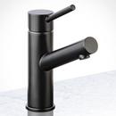 Single Handle Bathroom Sink Faucet in Flat Black 