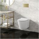 Wall Mount Round One Piece Toilet in White 