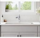 KOHLER Polished Chrome Single Handle Pull Out Kitchen Faucet 