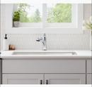 KOHLER Polished Chrome Single Handle Pull Out Kitchen Faucet 