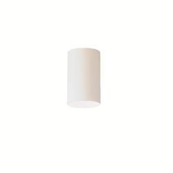 65W 1-Light Flushmount Ceiling Fixture with Glass in White