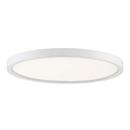 11 in. LED Ceiling Mount Light in White 