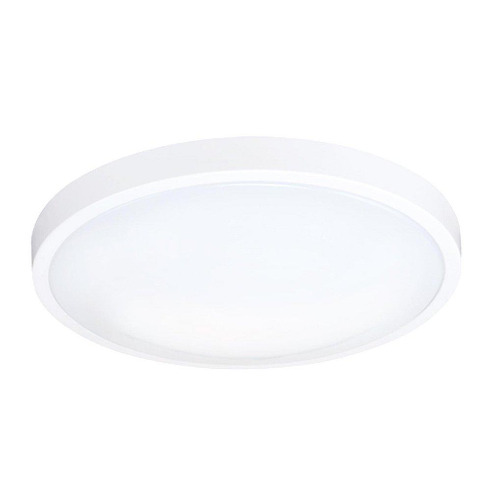 14 in. LED Round Ceiling Mount Light in White 