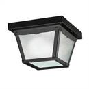 60 W 1-Light Medium Outdoor Semi-Flush Mount Ceiling Fixture in Black