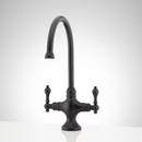 ISABEL SINGLE-HOLE GOOSENECK BAR FAUCET - MATTE BLACK 