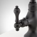 Signature Hardware Matte Black Two Handle Gooseneck Bar Faucet 