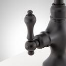 ISABEL SINGLE-HOLE GOOSENECK BAR FAUCET - AGED BRASS 