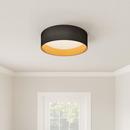 1-Light Flush Mount Ceiling Light in Burnished Gold 
