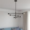 6-Light Pendant Light in Matte Black image number 0