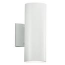 65W 2-Light Outdoor Wall Lantern in White