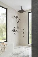 Brizo Brilliance Black Onyx Single Function Body Spray 