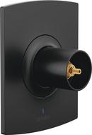 Brizo Matte Black No Handle Pressure Balancing Valve Trim 
