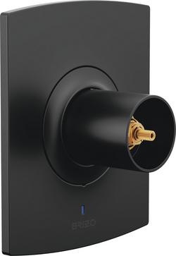 Pressure Balancing Valve Trim in Matte Black (Handle Not Included)