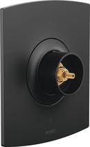 Thermostatic Valve Trim in Matte Black (Handles Sold Separately)
