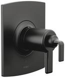 Brizo Matte Black No Handle Single Function Bathtub & Shower Faucet (Trim Only) 