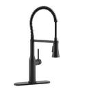 PROFLO&reg; Matte Black Single Handle Pre-Rinse Kitchen Faucet 