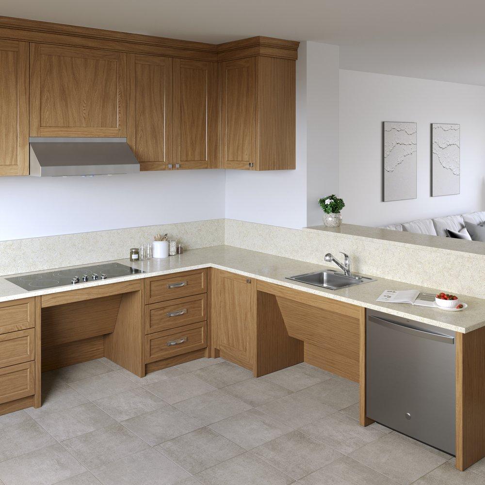 PROFLO® Chrome Pull Out Monoblock Kitchen Faucet 