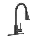 PROFLO&reg; Matte Black Pull Down Monoblock Kitchen Faucet 