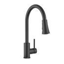 PROFLO&reg; Matte Black Pull Down Monoblock Kitchen Faucet 