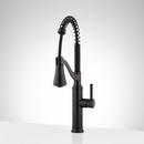 Single Handle Pull Down Kitchen Faucet in Matte Black