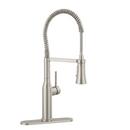 PROFLO&reg; Brushed Nickel Single Handle Pre-Rinse Kitchen Faucet 