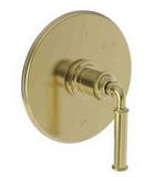 Single Handle Pressure Balancing Valve Trim in Uncoated Polished Brass - Living