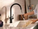Moen Matte Black Single Handle Pull Down Kitchen Faucet 