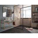 Moen Brushed Gold Multi Function Hand Shower 