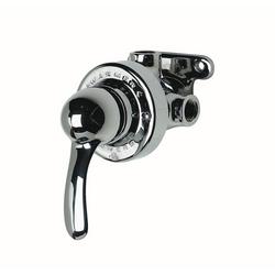 hydroguard exposed thermostatic mixing valve