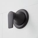 Single Handle Diverter Valve Trim in Matte Black