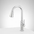 Signature Hardware Matte Black Single Handle Pull-Down Bar Faucet 