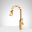 Signature Hardware Matte Black Single Handle Pull-Down Bar Faucet 