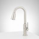 Signature Hardware Matte Black Single Handle Pull-Down Bar Faucet 