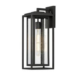 60W 1-Light 18 in. Wall Sconce in Black