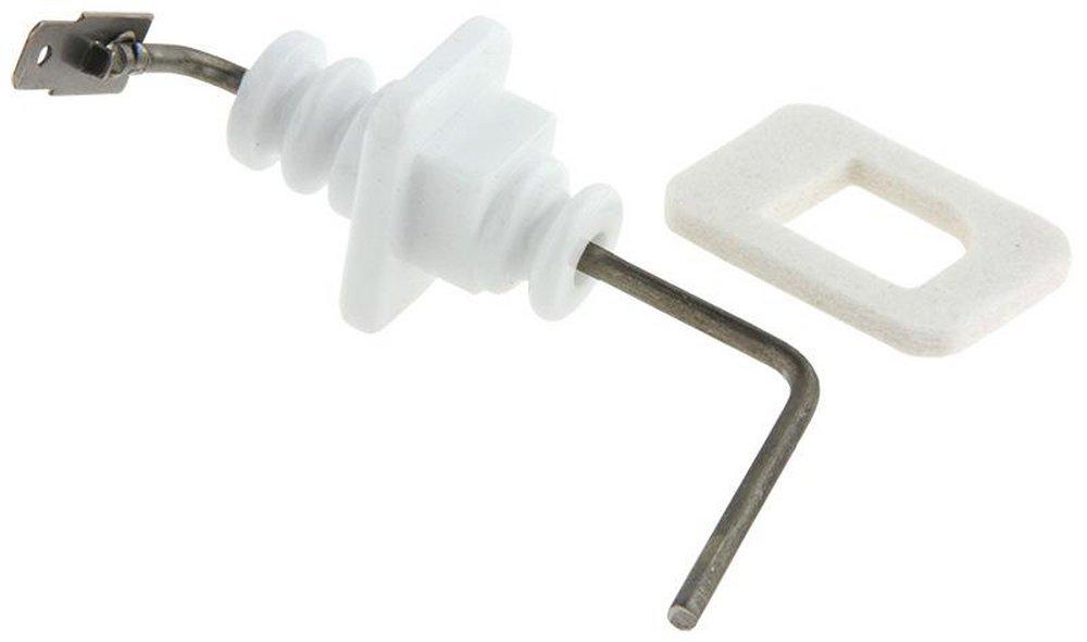 FLAME ROD FL1 W/ GSKT 