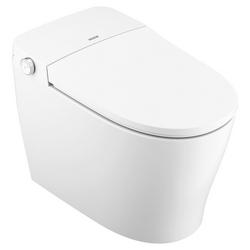 Elongated Toilet Bowl with Bidet in White