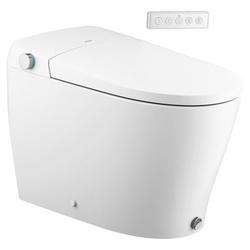 Elongated Toilet Bowl with Bidet in White