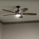 56 INCH TRANQUIL FAN 