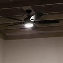 Kichler Lighting Satin Black 56 in. 5-Blade Indoor or Outdoor Ceiling Fan 