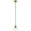 Kichler Lighting Brushed Brass 75W 1-Light Medium E-26 Incandescent Pendant Light 