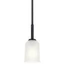 MINI PENDANT 1LT 