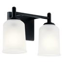 100W 2-Light Medium E-26 Vanity Fixture in Black