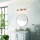 Kichler Lighting Champagne Bronze 75W 3-Light Medium E-26 Vanity Fixture 