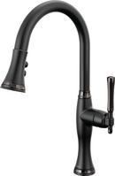 Single Handle Pull Down Kitchen Faucet in Matte Black with Brilliance® Black Onyx