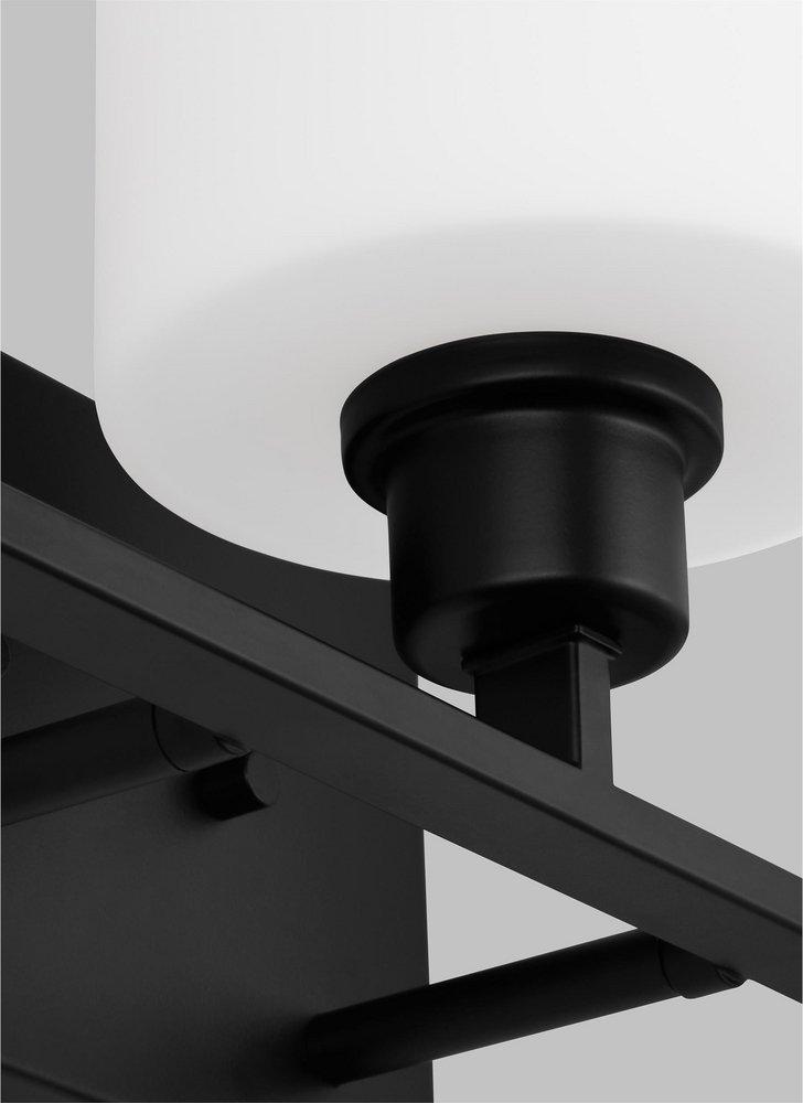 ESSENTIAL FUNCTIONAL ELEMENTS DICTATE THE AESTHETI 