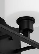 ESSENTIAL FUNCTIONAL ELEMENTS DICTATE THE AESTHETI 