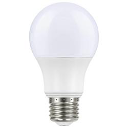 A19 LED Light Bulb with a Medium E-26 Base