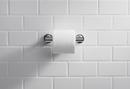 KOHLER Vibrant Titanium Wall Toilet Tissue Holder 
