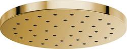 Single Function Showerhead in Brilliance&reg; Polished Gold